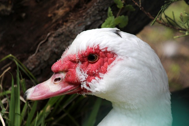 现出令人瞩 现出令人瞩