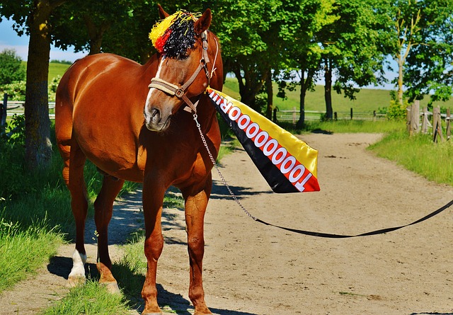 在心理素质 在心理素质