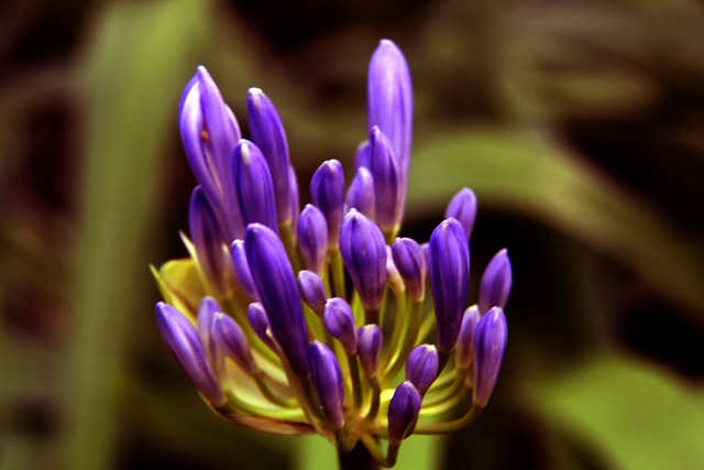 这一成就让 这一成就让