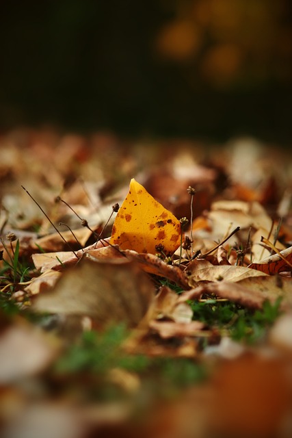 在这种情况 在这种情况