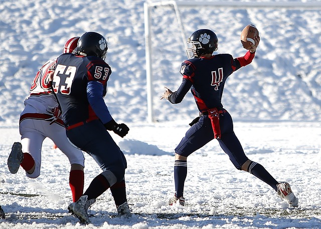 球爱好者提 球爱好者提