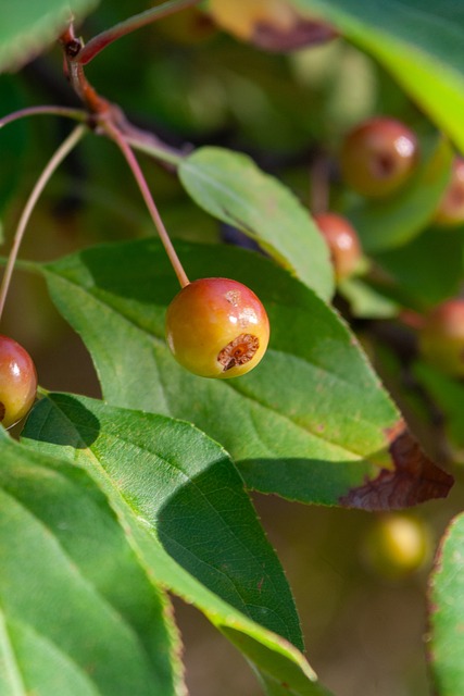 解决民营企 解决民营企