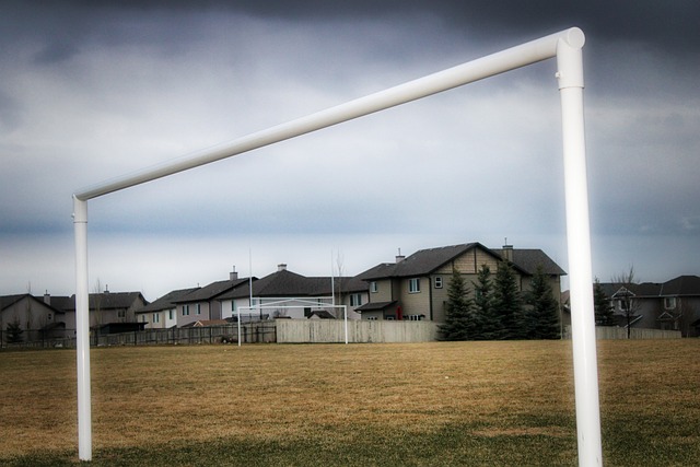 如今通过保 如今通过保