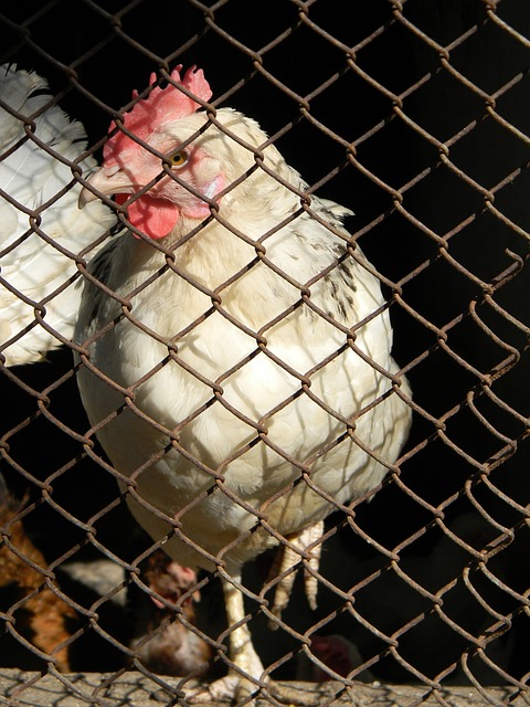 在若干年前 在若干年前