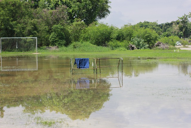 史悠久的球 史悠久的球